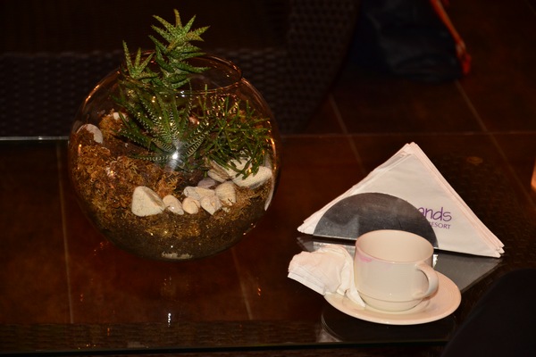 Edde Sands Wellness Dinner